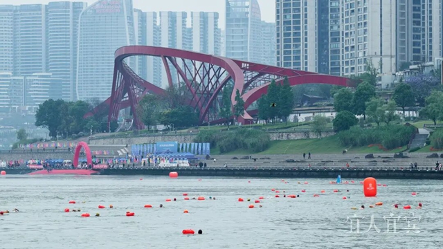 报名已开启!2026宜宾横渡长江挑战赛10月7日举行(图1) 游泳1.jpg