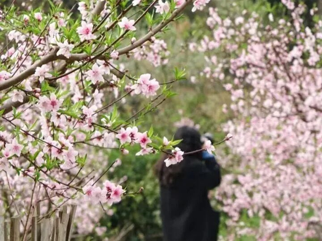 藏在烟火里的田园诗意丨泸州美丽庭院系列展播(图1) 1.jpg
