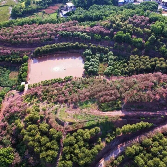 藏在烟火里的田园诗意丨泸州美丽庭院系列展播(图8) 8.jpg
