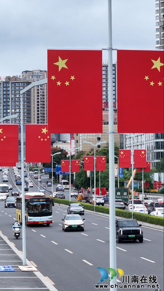 泸州龙马潭:非遗进商圈 国庆氛围浓(图5) 道旗-(1).jpg