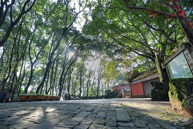 @乐迷们,看完音乐节,记得来泸县这些地方打卡(图5) 5.jpg