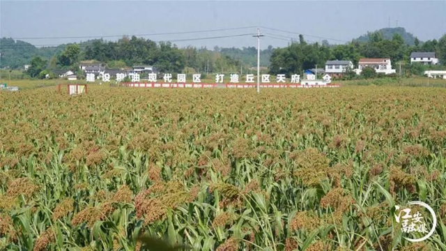 连续三年召开,宜宾这场大会传递出哪些信号?(图4) 信号4.jpg