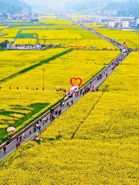 连续三年召开,宜宾这场大会传递出哪些信号?(图6) 信号6.jpg