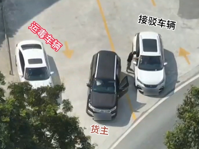 抓2.jpg