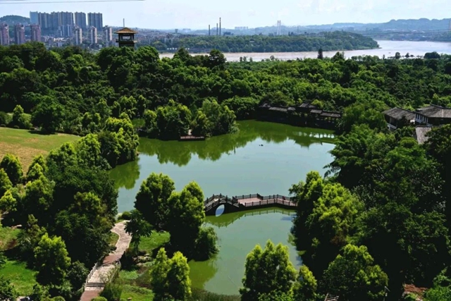 “恋秋”一日游,坐公交感受泸州秋天的多样美丽(图5) 5.jpg