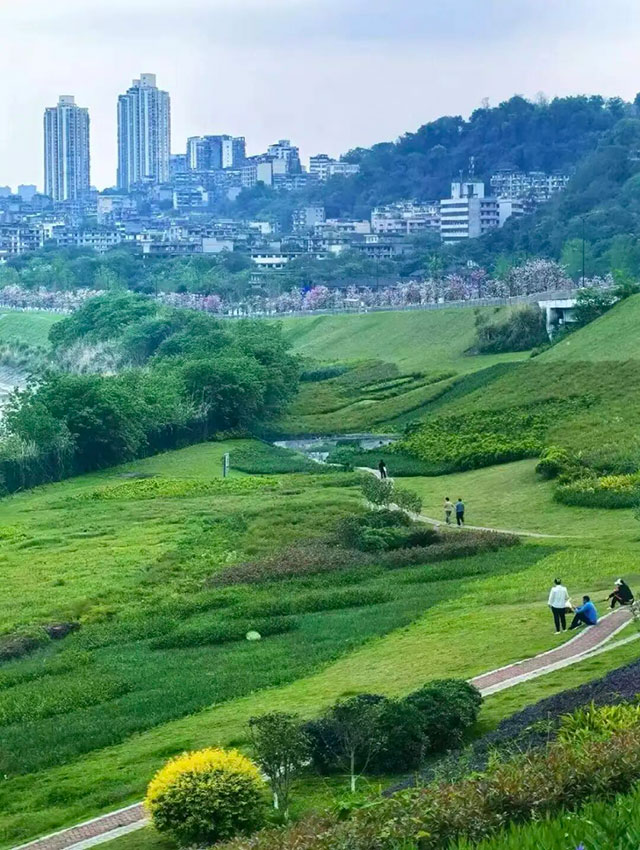 今早就约!龙马潭秋日有氧地图(图10) 10.jpg
