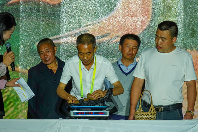 十颗猕猴桃 拍出近四万元价格——古蔺县东新镇第五届猕猴桃丰收季开幕(图6) 6.jpg