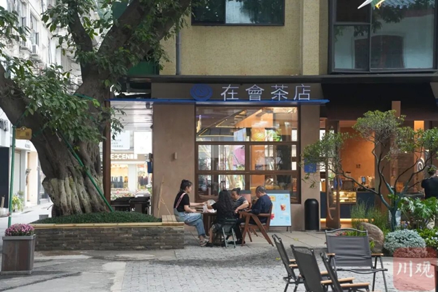 进退之间,宜宾百年古树下飘出咖啡香(图1) 1.jpg