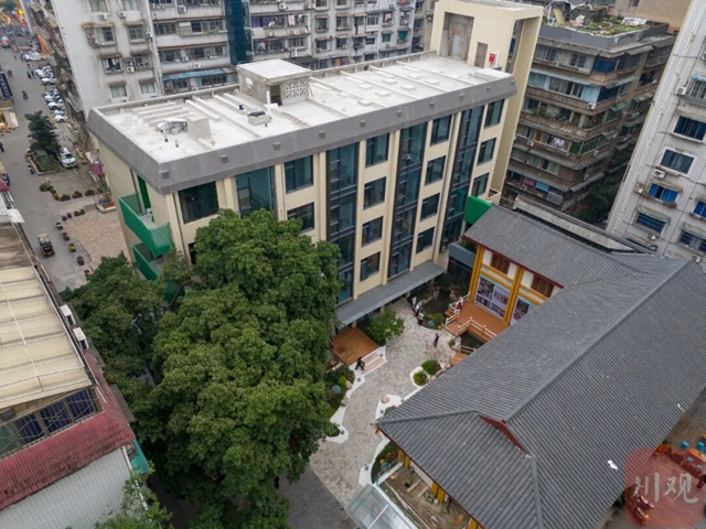 进退之间,宜宾百年古树下飘出咖啡香(图2) 2.jpg