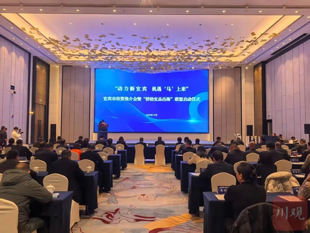 侨联搭桥,“宜宾造”持续出口到海外(图2) 造2.jpg