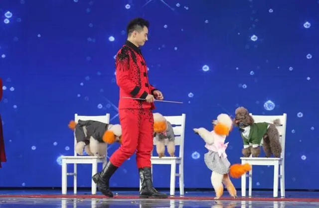周末去哪儿?2026泸州宠博会10月16日开幕,逛展指南来了!(图6) 6.jpg