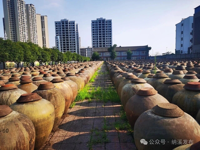 纳溪:盘活碎片化地块,助“老字号”解锁全产业链新局(图2) 片2.jpg