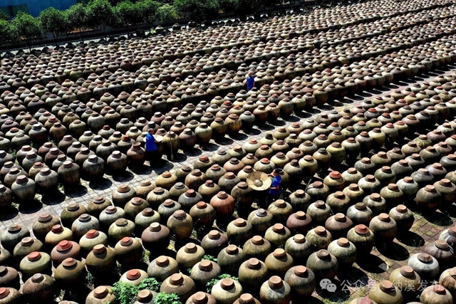 纳溪:盘活碎片化地块,助“老字号”解锁全产业链新局(图3) 片3.jpg