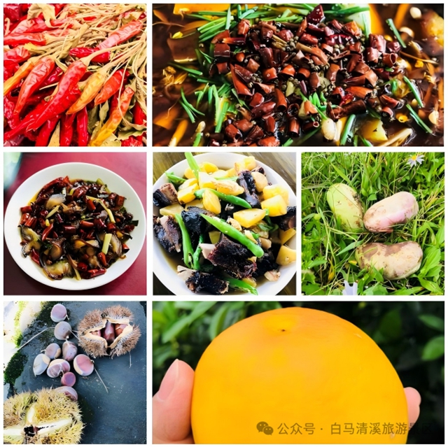 古蔺新增一个国家AAA级景区(图21) 白马21.jpg