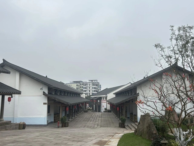 全省唯一!泸州一项目入选自然资源部《盘活存量土地和低效用地典型案例2026版》(图5) 5.jpg