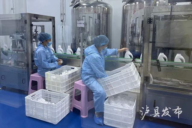 投产一年、日产2万瓶!泸县这家企业产品销往川渝鄂(图2) 药2.jpg