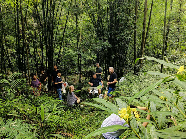 古堡余辉项目:一座休闲园里的民生急需与生态答卷(图3) 3.png