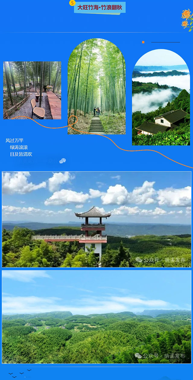 屏幕截图_18-10-2026_91146_mp.weixin.qq.com.jpg