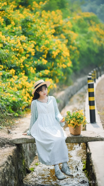 黄6.jpg