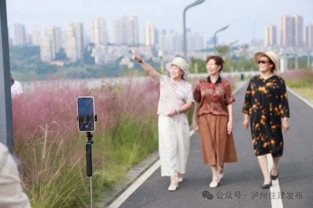 泸州这些公园粉黛进入盛花期!拍照很美, "打卡"勿忘文明(图16) 16.jpg