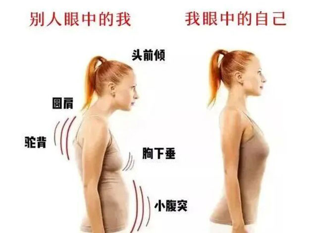 【请查收】您的脊柱使用说明书(图2) 2.jpg