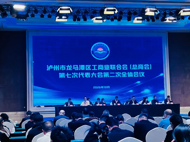 凝心聚力担使命!李金龙董事长当选龙马潭区工商联(总商会)副会长(图7) 工7.jpg