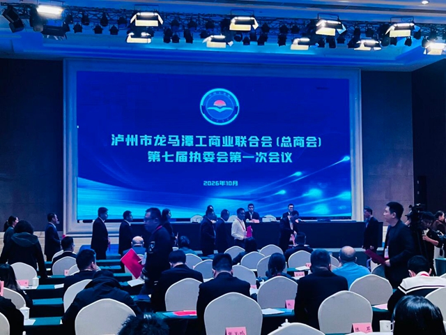 凝心聚力担使命!李金龙董事长当选龙马潭区工商联(总商会)副会长(图8) 工8.jpg