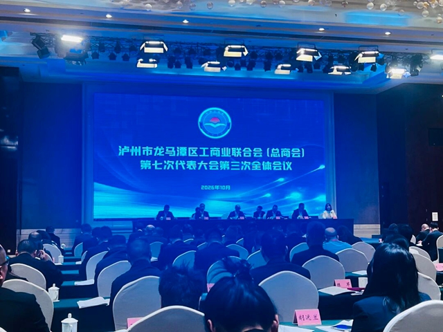 凝心聚力担使命!李金龙董事长当选龙马潭区工商联(总商会)副会长(图9) 工9.jpg