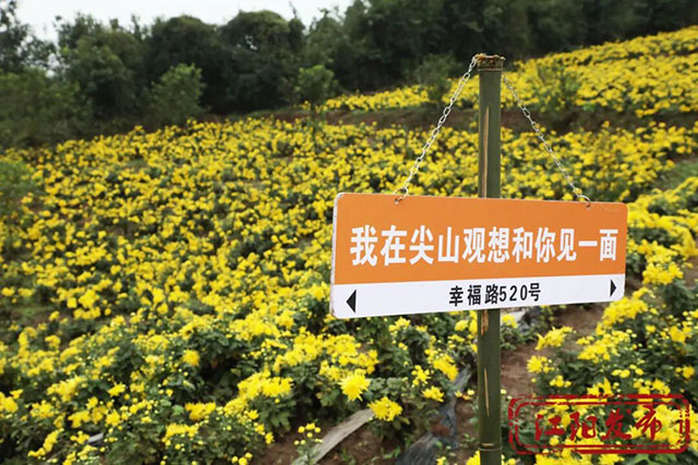江阳这个村,整了点“花”样(图3) 3.jpg