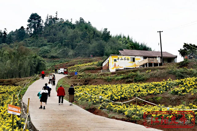 江阳这个村,整了点“花”样(图5) 5.jpg