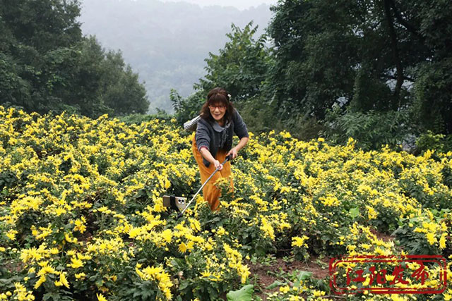 江阳这个村,整了点“花”样(图6) 6.jpg