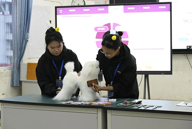 技炫青春 能创未来〡泸州市第二十二届中职技能大赛暨 2026 年中职专业教师大比武在泸县建校举办(图10) 10.jpg