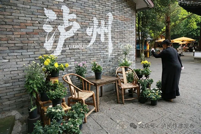 泸州忠山公园菊花雅集来啦!2000株菊花等你打卡(图8) 8.jpg