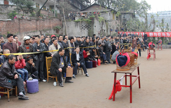 叙永斗鸟大赛&nbsp;战斗正酣(图1)