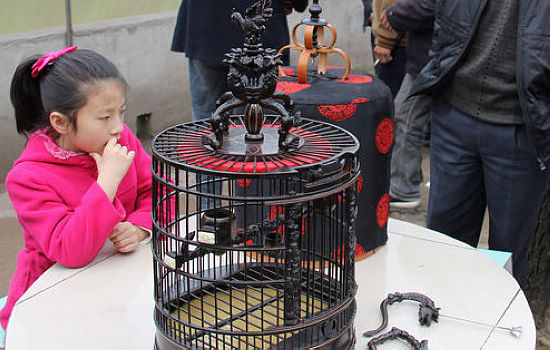 叙永斗鸟大赛&nbsp;战斗正酣(图6)