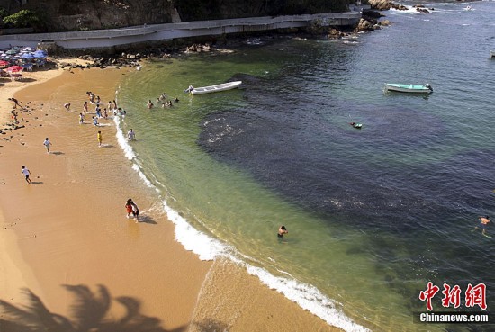 墨西哥现巨型鱼群(图2)