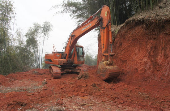 泸州：1300万&nbsp;强健天仙“脉络”(图1)