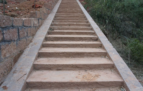 泸州：1300万&nbsp;强健天仙“脉络”(图4)