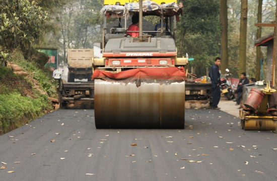 泸州：1300万&nbsp;强健天仙“脉络”(图2)