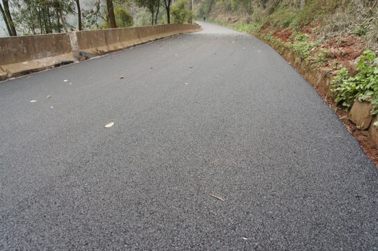 泸州：1300万&nbsp;强健天仙“脉络”(图3)