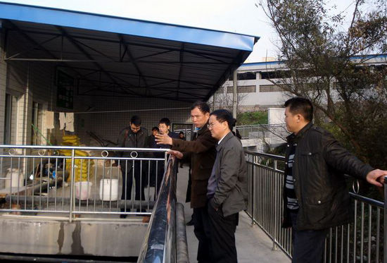 龙马潭区区长王波率队到长安乡调研