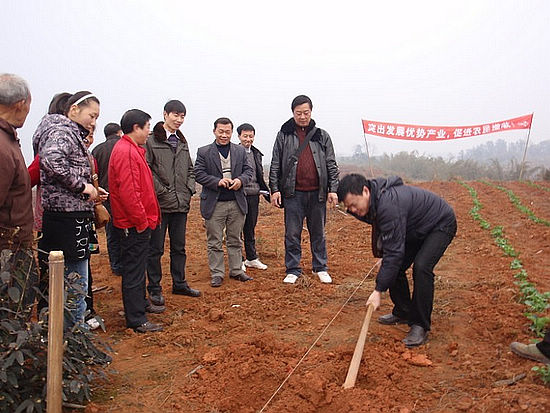 民富村强&nbsp;天仙镇创先争优效果显著(图7)