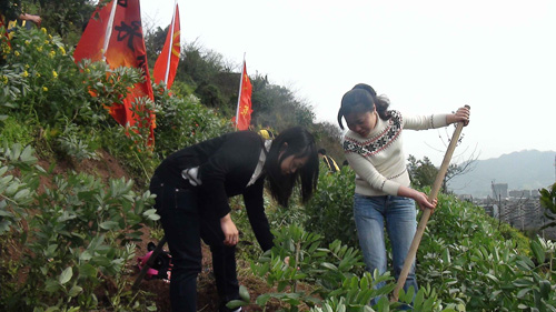 叙永职高：志愿护绿使者&nbsp;种下幼苗700棵