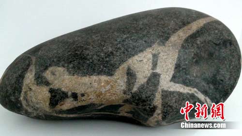 宜宾：一运沙人发现“恐龙扑食”奇石