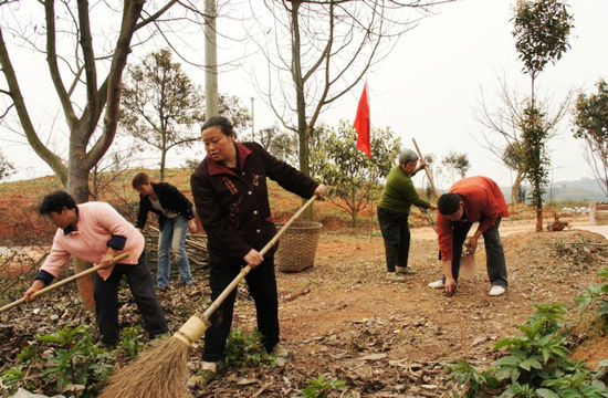 天仙镇党员争做“创先争优”先锋(图4)