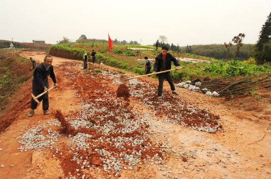 天仙镇党员争做“创先争优”先锋(图2)