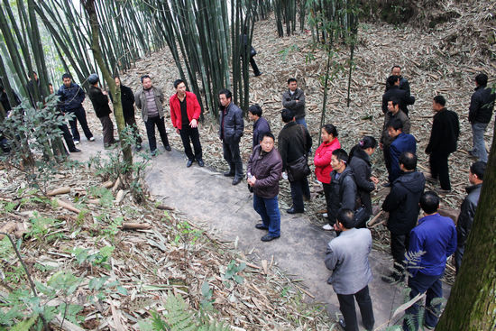 马岭镇：书记带队&nbsp;学习取经