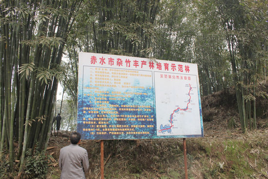 马岭镇：书记带队&nbsp;学习取经(图1)