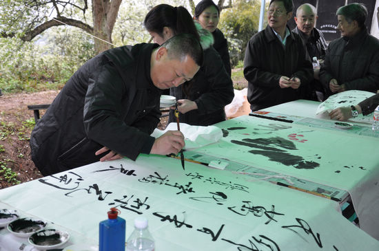 泸州：云锦镇举办第二届梨花诗会(图3)