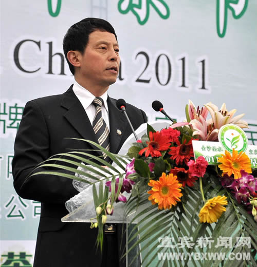 2011中国宜宾早茶节盛装开启(图4)